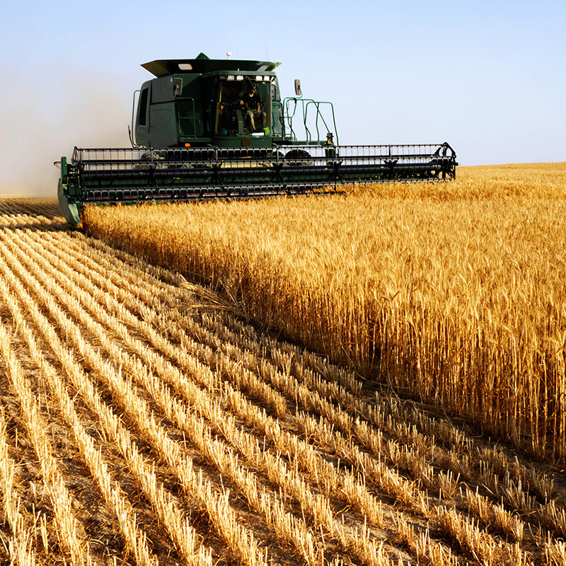 Baseline Farms About Us